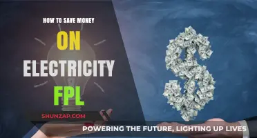 Save Money on Electricity: FPL's Best Tips