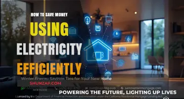 Powering Savings: Efficient Electricity Use for a Greener Wallet