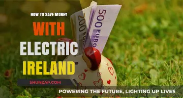 Electric Ireland: Save Money with These Tips