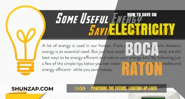 Save on Electricity in Boca Raton: Tips and Tricks