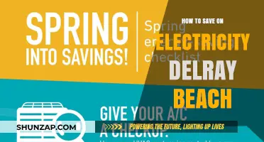 Save on Electricity in Delray Beach: Tips to Reduce Your Bill