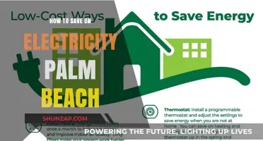 Save on Electricity in Palm Beach: Tips to Cut Costs
