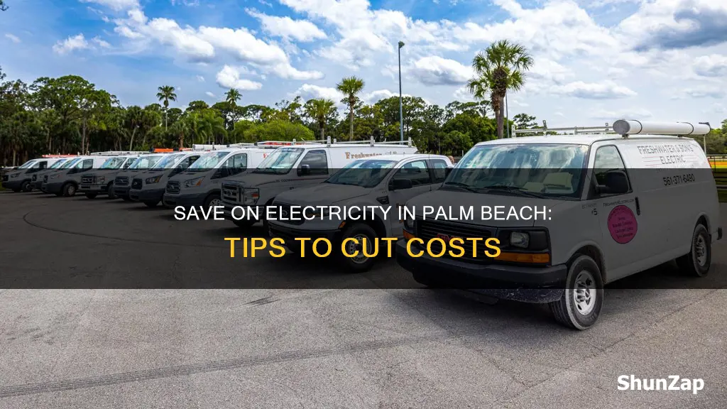 how to save on electricity palm beach