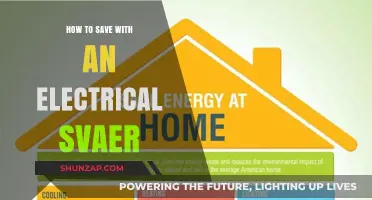 Smart Savings: Electrical Showers