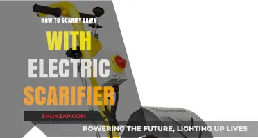 The Ultimate Guide to Electric Lawn Scarification