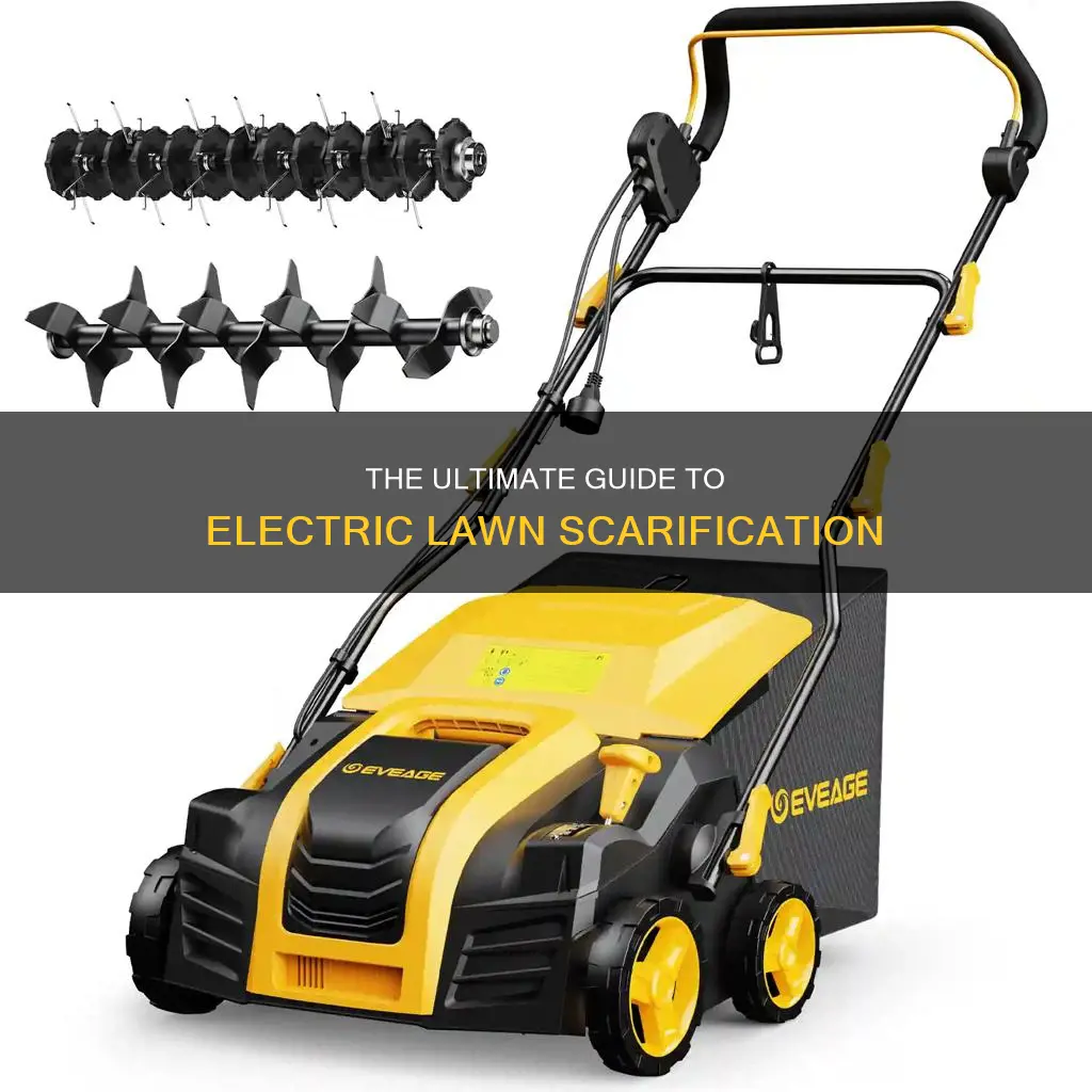 how to scarify lawn with electric scarifier
