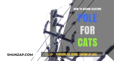 Protecting Electric Poles: Keeping Cats Safe