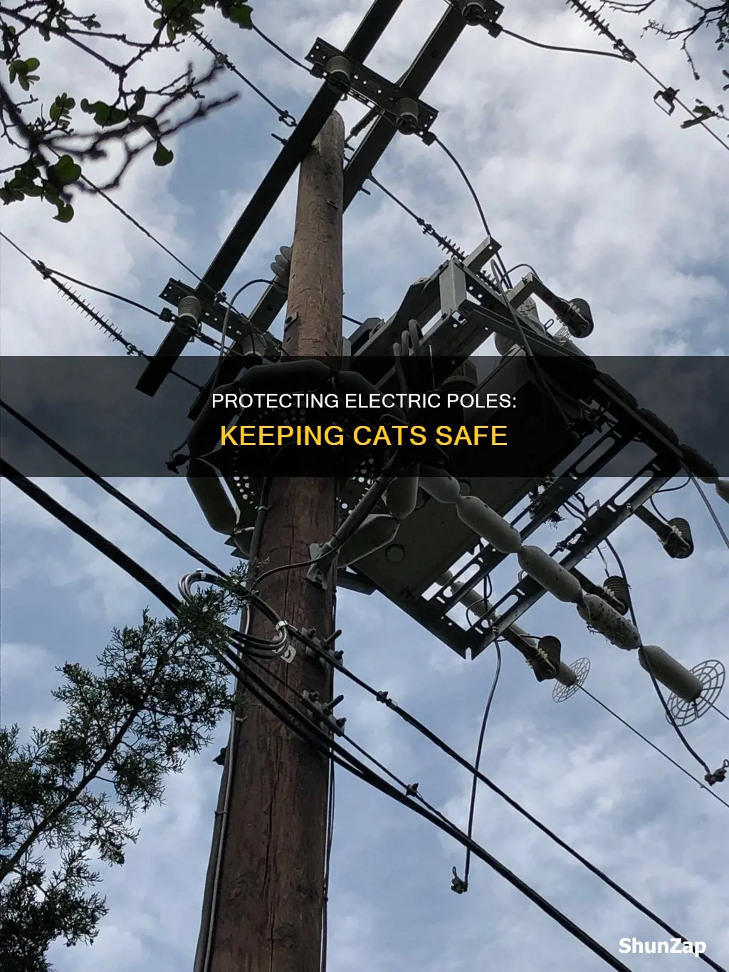 how to secure electric pole for cats