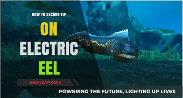 Protecting Yourself from Electric Eel Attacks