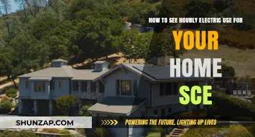 Monitor Your Home's Hourly Electricity Usage with SCE: A Simple Guide