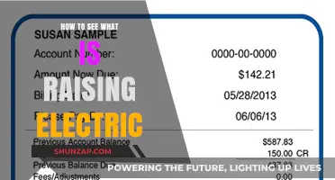 Electricity Bills: What's the Cause of Rising Costs?