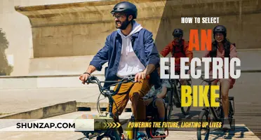 Choosing Your Perfect Electric Bike: A Guide