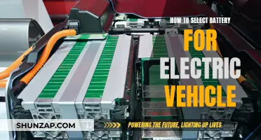 Powering Your EV: A Guide to Choosing the Right Battery