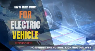 Choosing the Right Battery for Your Electric Vehicle
