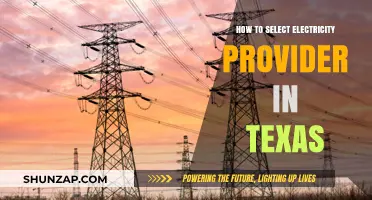 Selecting an Electricity Provider in Texas: A Guide