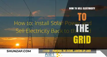 Selling Power: How to Trade Electricity with the Grid