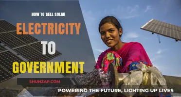 Selling Solar Electricity to the Government: Strategies for Success