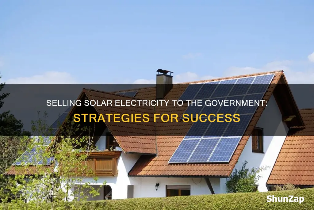 how to sell solar electricity to government