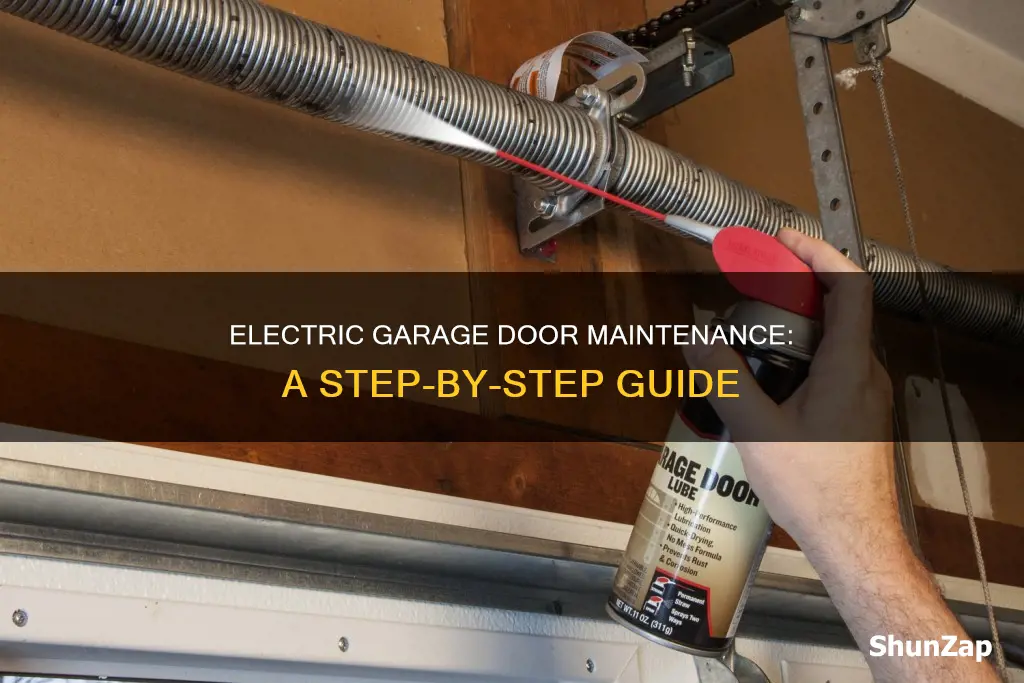 how to service an electric garage door