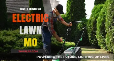 Servicing Your Electric Lawn Mo: A Step-by-Step Guide