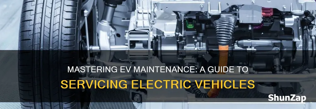 how to service electric vehicles