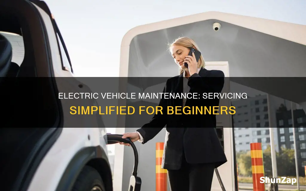 how to service electric vehicles