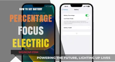 Setting Your Focus Electric's Battery Percentage: A Guide