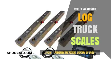 Setting Electric Log Truck Scales: A Step-by-Step Guide