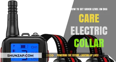 Mastering Shock Levels: A Guide to Dog Training Collar Settings