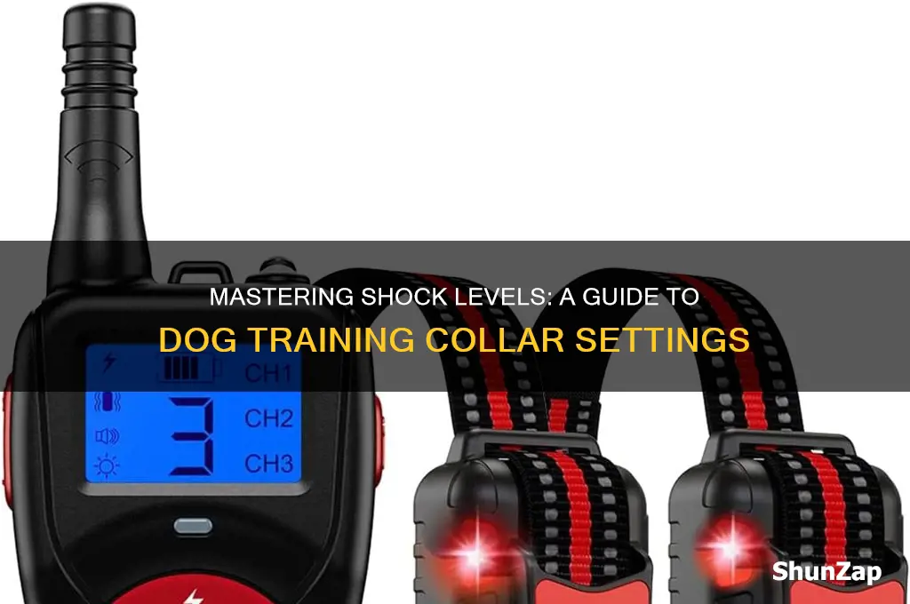 how to set shock level on dog care electric collar