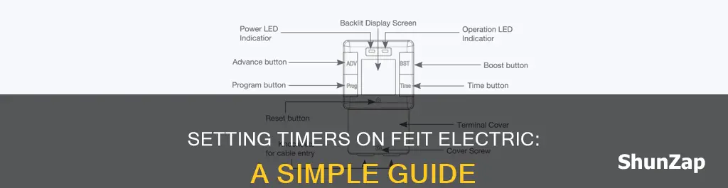 how to set timer on feit electric