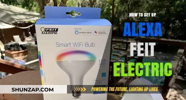 Setting Up Alexa with Feit Electric: A Step-by-Step Guide
