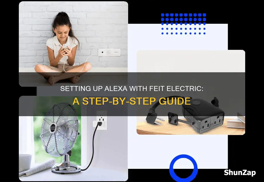 how to set up alexa feit electric