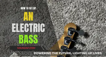 Setting Up Your Electric Bass Like a Pro