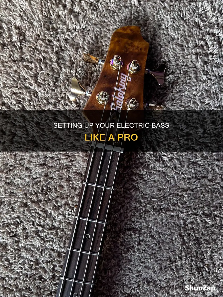 how to set up an electric bass