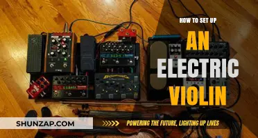 Setting Up Your Electric Violin: A Beginner's Guide