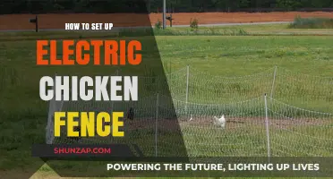 Setting Up Electric Chicken Fences: A Step-by-Step Guide