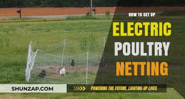 Setting Up Electric Poultry Netting: A Step-by-Step Guide