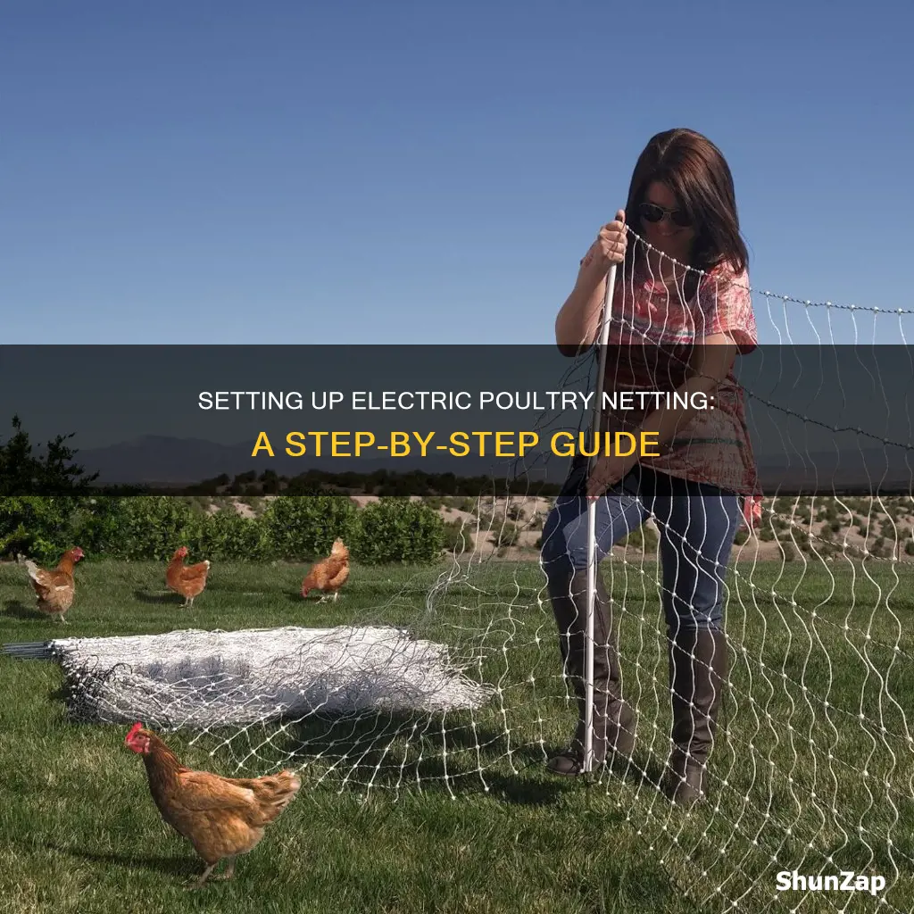 how to set up electric poultry netting