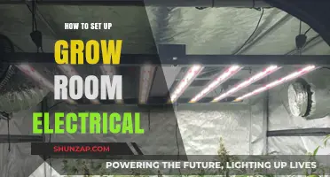 Setting Up Your Grow Room Electrical: A Step-by-Step Guide