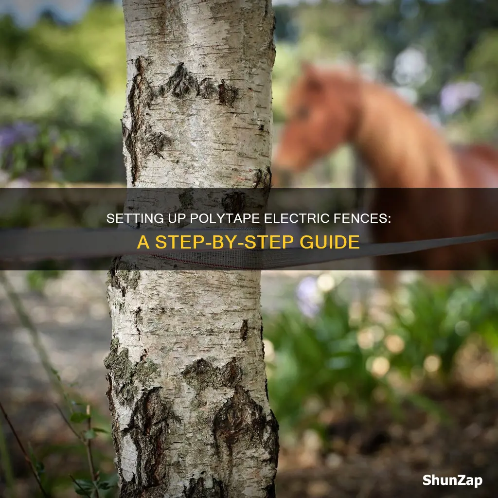 how to set up polytape electric fence