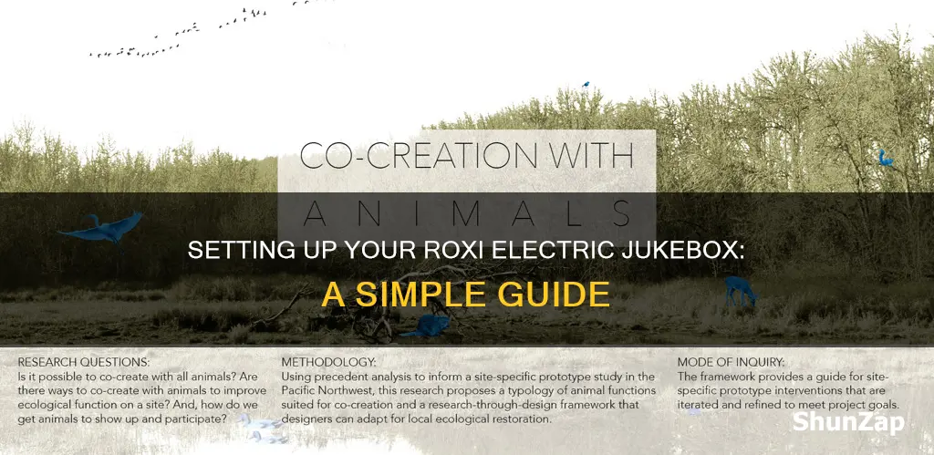 how to set up roxi electric jukebox