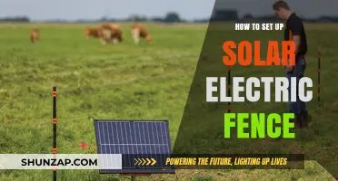 Setting Up Solar Electric Fences: A Step-by-Step Guide