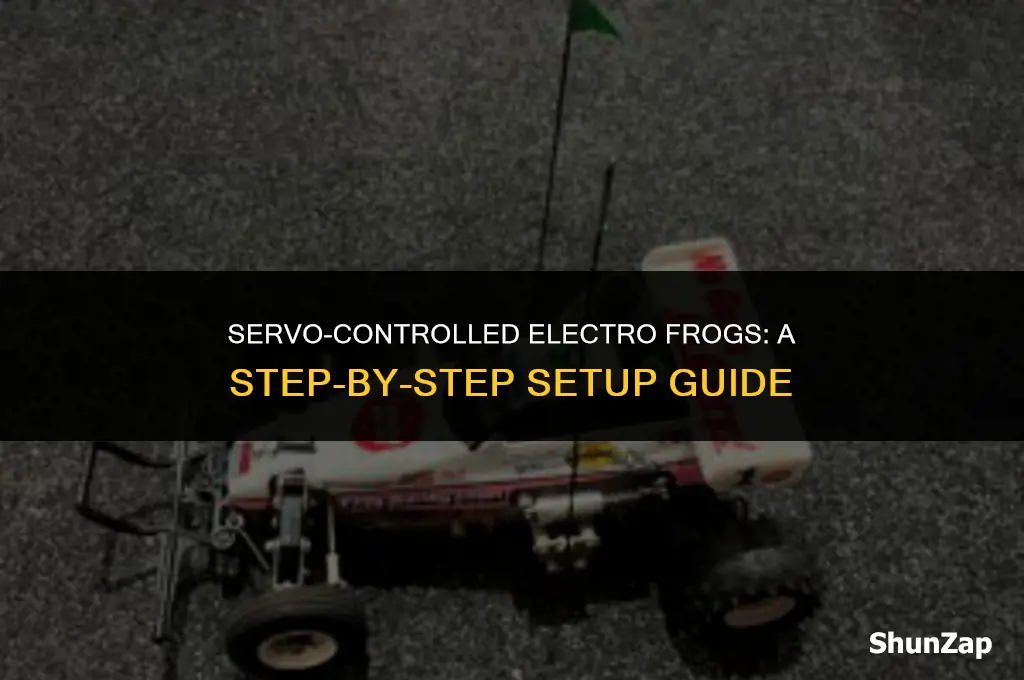 how to setup electro frogs using servo control