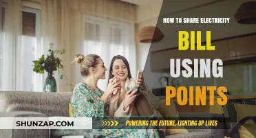 Efficiently Split Your Electricity Bill: A Points-Based Approach