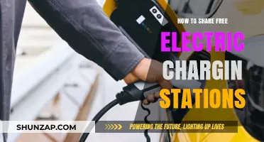 Free Electric Charging: Sharing Stations, Sharing Costs
