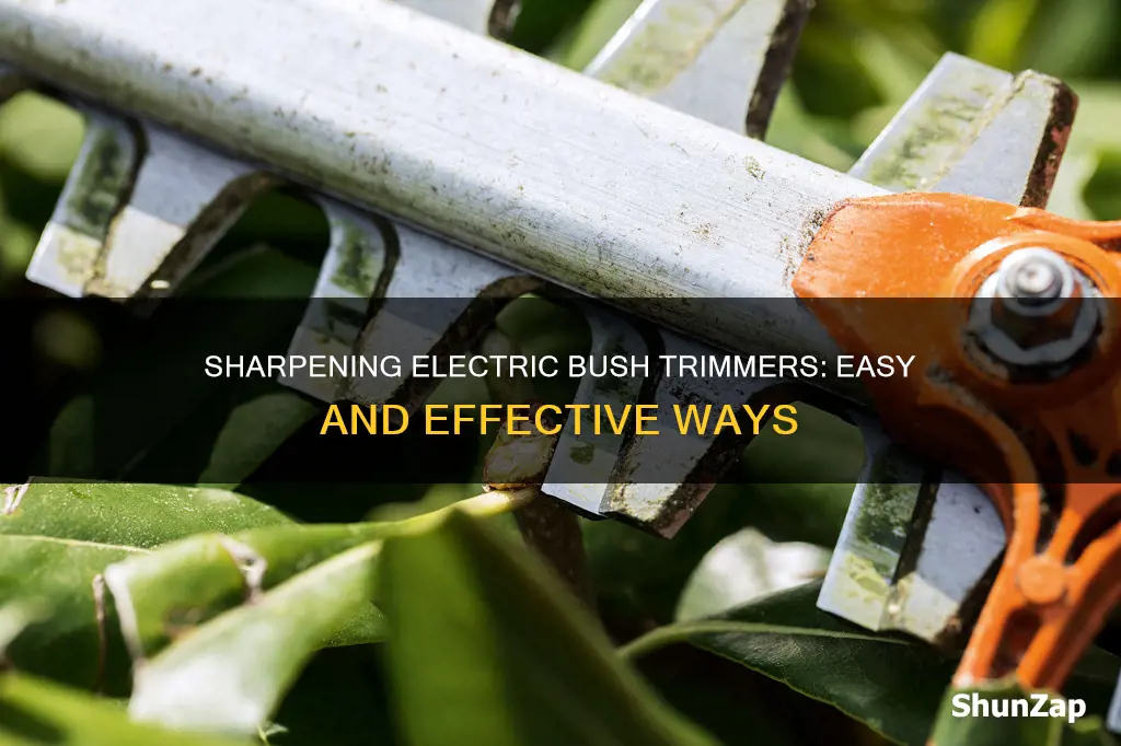 how to sharpen a bush trimmer electric