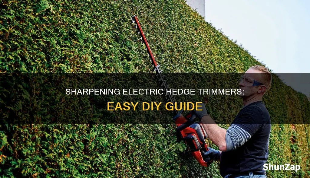 how to sharpen an electric hedge trimmer
