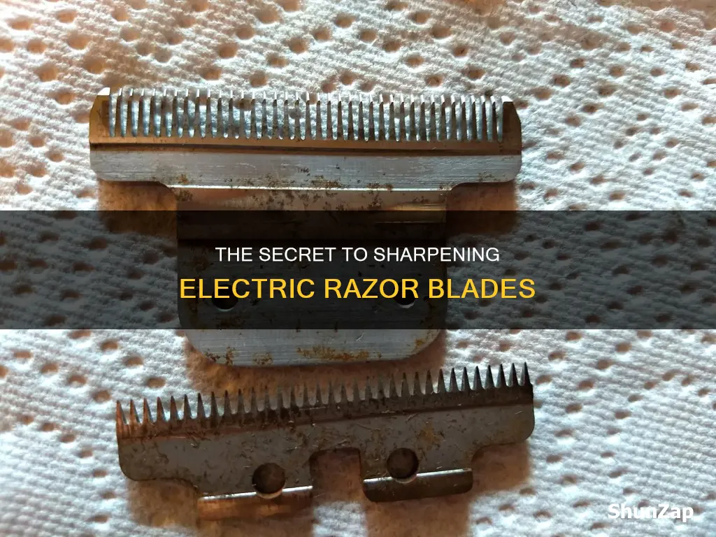 how to sharpen blades on electric shaver