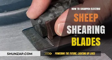 The Ultimate Guide to Sharpen Electric Sheep Shearing Blades